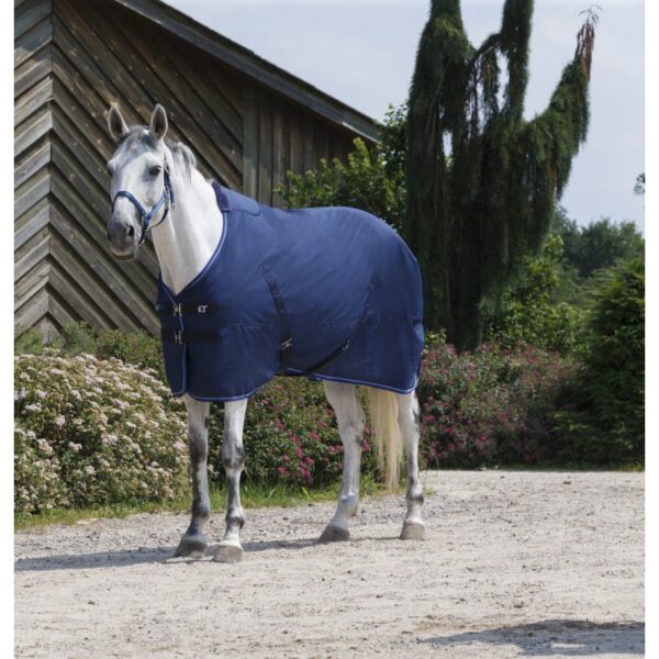 equitheme rug