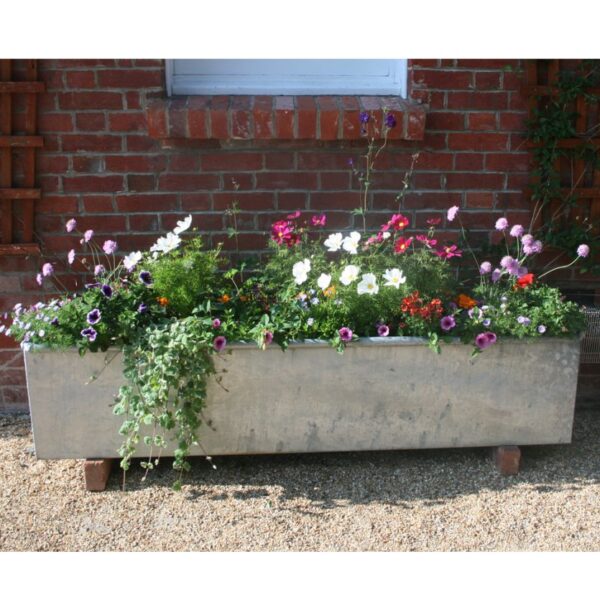 large trough planter 1