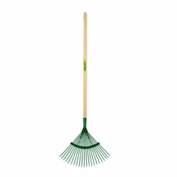 rake