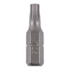 Torx Driver Bit S2